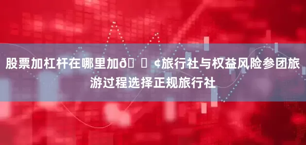 股票加杠杆在哪里加🏢旅行社与权益风险参团旅游过程选择正规旅行社