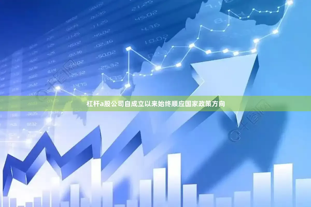 杠杆a股公司自成立以来始终顺应国家政策方向