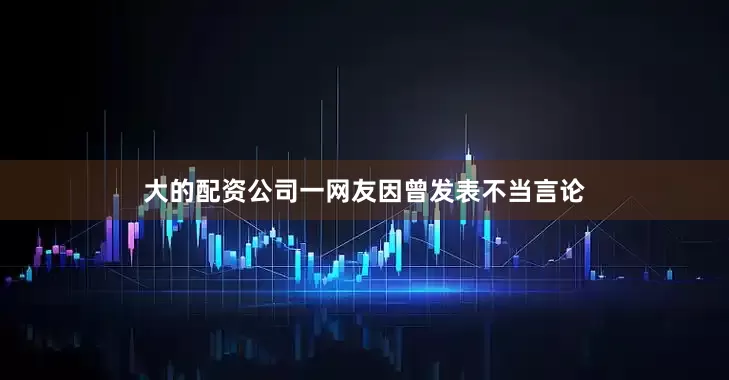 大的配资公司一网友因曾发表不当言论