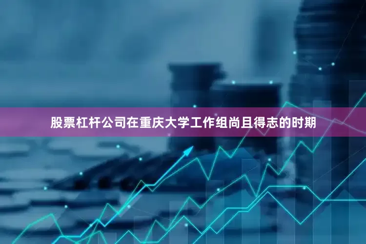 股票杠杆公司在重庆大学工作组尚且得志的时期
